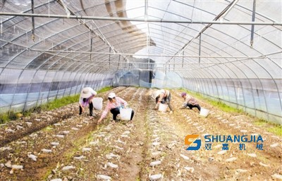 1648948626129750.jpg 15-26-56-36-283825.jpg