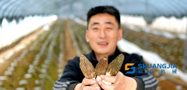 1648948736131515.jpg 16-11-14-23-283825.jpg