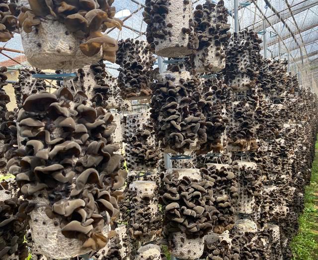 1649553347915435.jpeg 17-05-50-29-283825.jpeg