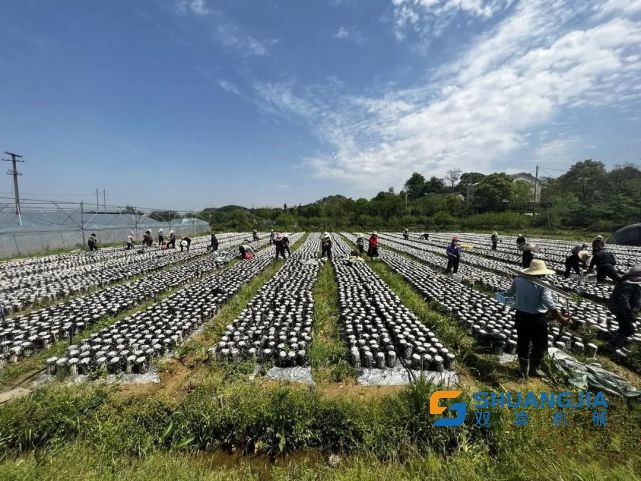 1649815556103034.jpg 11-37-31-38-283825.jpg