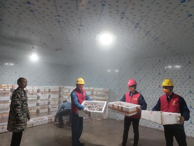 1650250016308642.jpeg 10-13-02-95-283825.jpeg