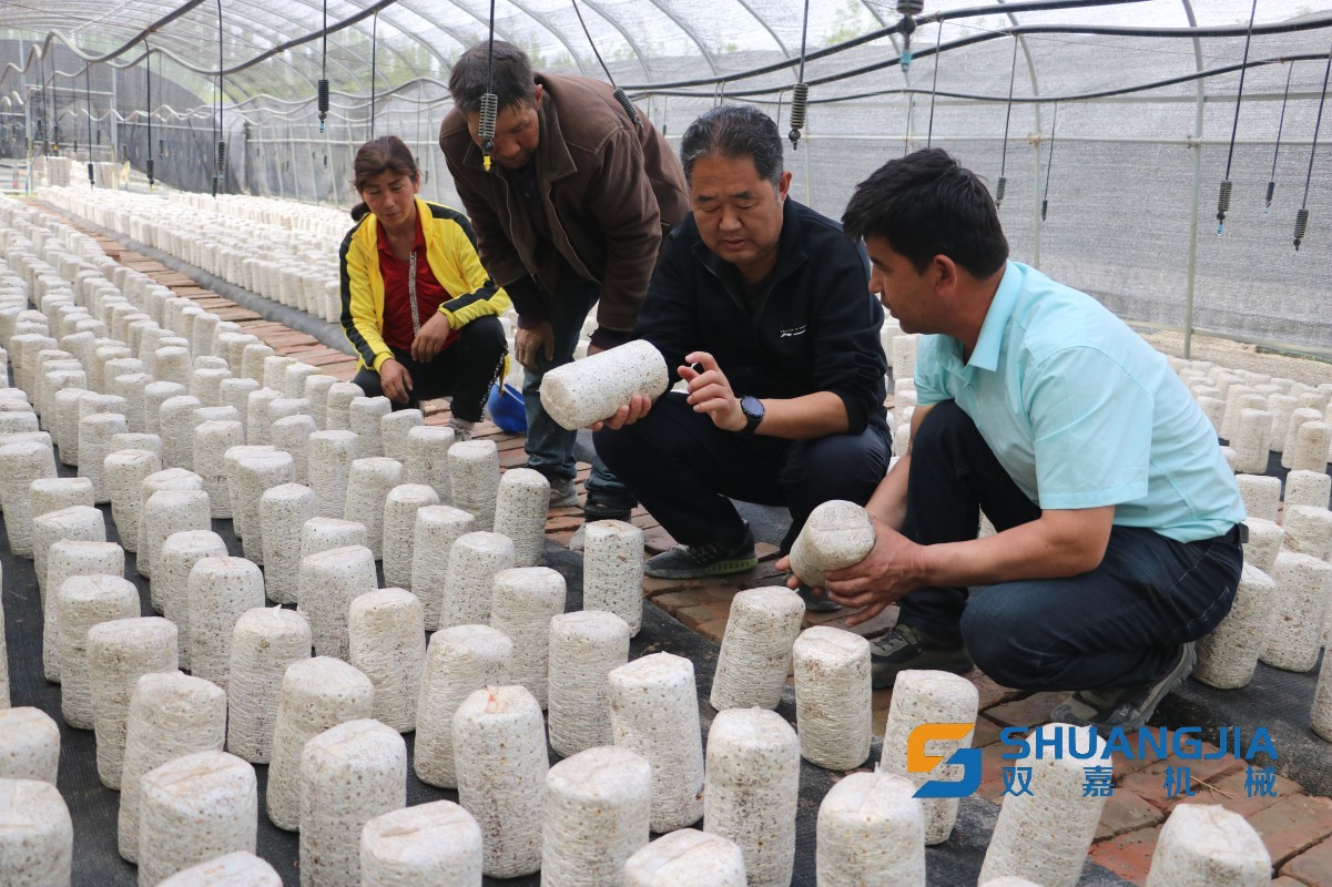 1650587625210044.jpg 17-04-25-91-283825.jpg