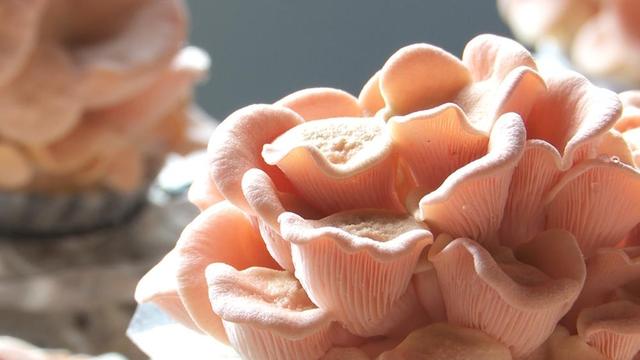 1652321325707138.jpeg 16-51-22-13-283825.jpeg