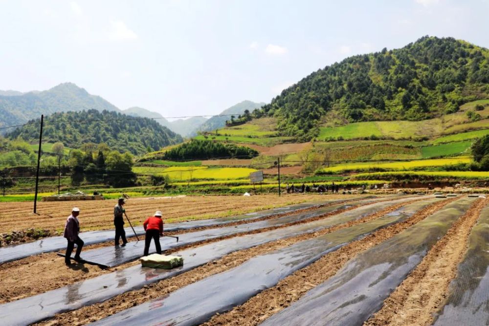 1652923290154721.jpeg 16-31-40-44-283825.jpeg