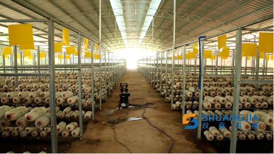 1652923584125518.png 16-50-05-78-283825.png