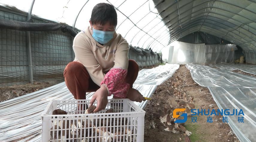 1653012697206377.jpg 17-20-22-22-283825.jpg