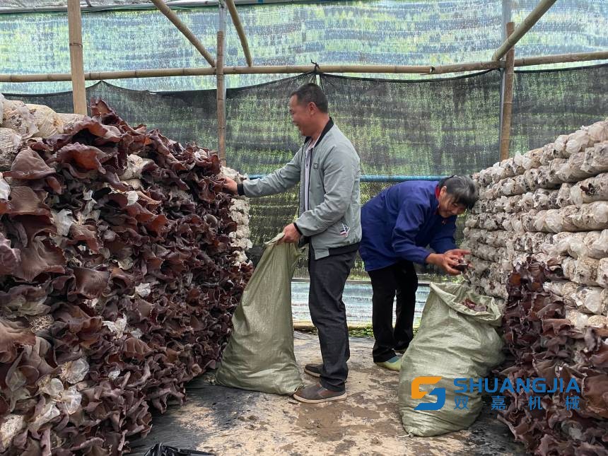 1654129526197538.jpg 15-46-32-55-283825.jpg