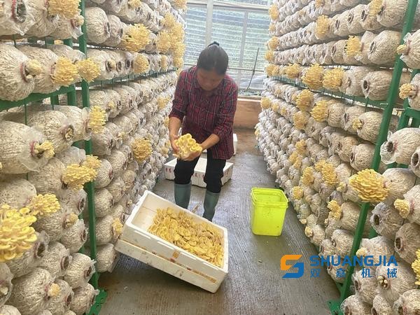 1654305414107789.jpg 下載 (2).jpg