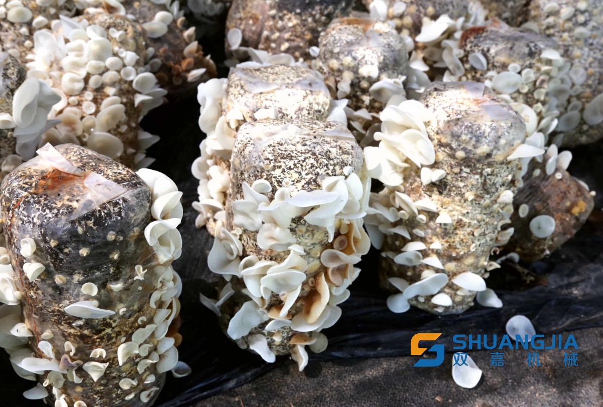 1656637864778085.jpg 14-02-16-72-283825.jpg