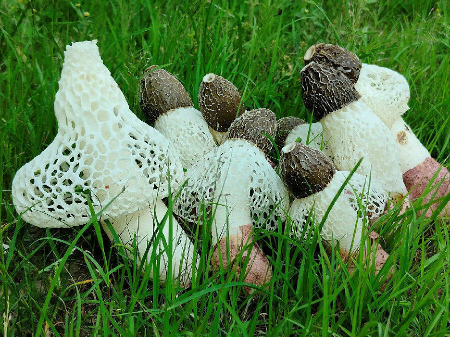 1657759877193097.jpeg 15-44-59-11-283825.jpeg