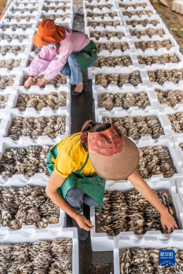 1658023250140619.jpeg 5366d0160924ab1813d99a8c5c3342c779890b95.jpeg