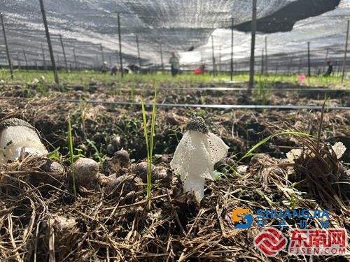 1659669590570546.jpg 11-05-31-23-283825.jpg