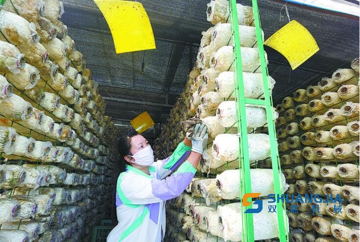 1659922276831543.jpg 202208080856044139.jpg