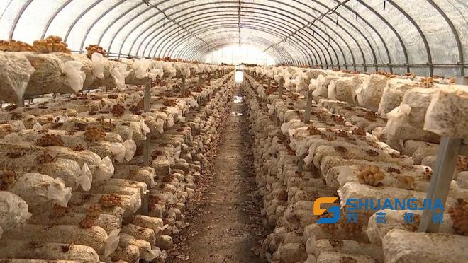 1660041619198075.jpg 16-30-03-24-283825.jpg