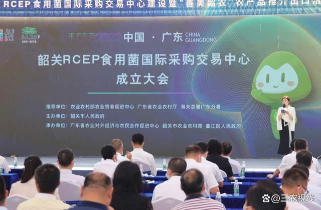 1661049915580358.jpeg d833c895d143ad4b25be8461ac4e89a5a50f0652.jpeg