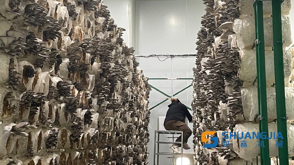 1663308484162922.png W020220915407259742435.png