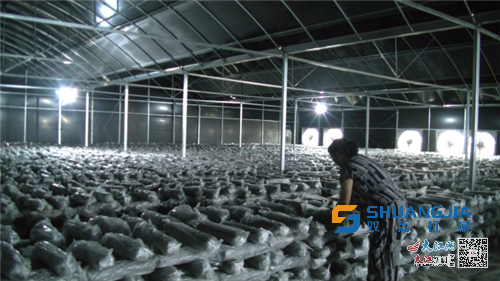 1663474790199206.png 00303568010_bff86502.png