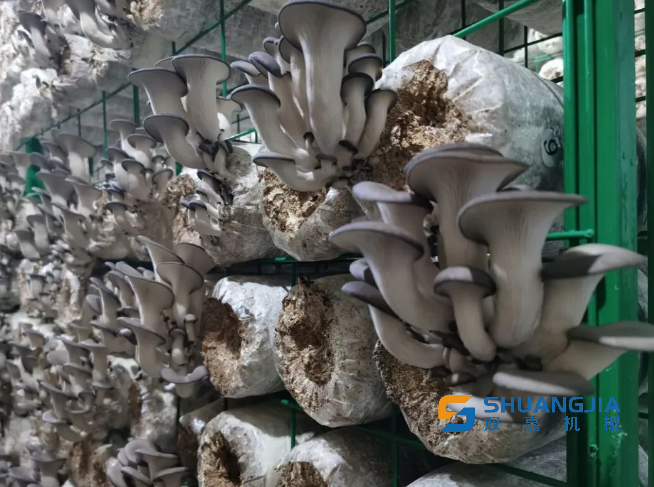 1667828924119282.png 09-45-53-55-283825.png