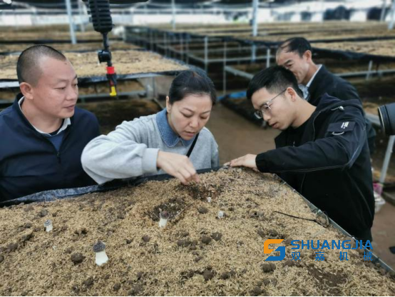 1672394182190299.png 13-50-13-55-283825.png