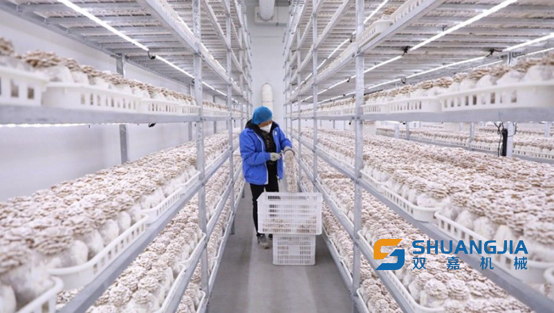 1672747444282446.png 09-42-14-72-283825.png