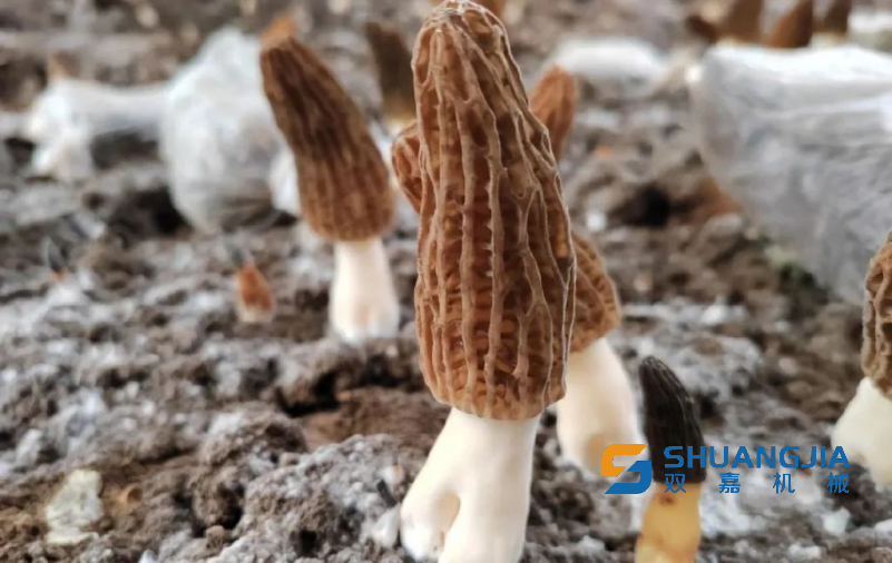 1685154728120593.png 11-05-29-24-451102.png